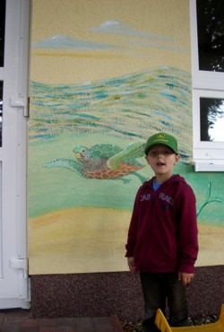 Fassadenmalerei: Wasserschildkröte